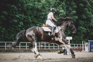 10 Benefits of Horseback Riding
