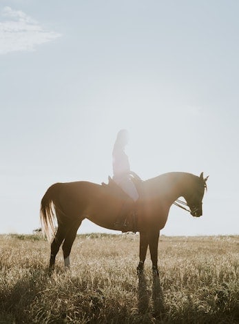 10 Benefits of Horseback Riding