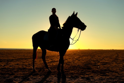 Does Horse Riding Make You Lose Weight?
