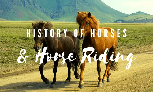 History of Horses and Horse Riding