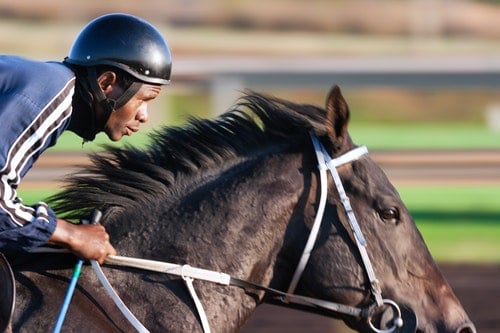 12 Ways to To Becoming A More Confident Horse Rider