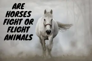 Are Horses Fight Or Flight Animals?