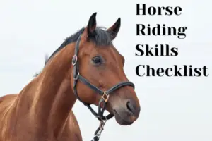 Horse Riding Skills Checklist