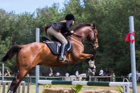 What Body Type Is Best For Horse Riding?