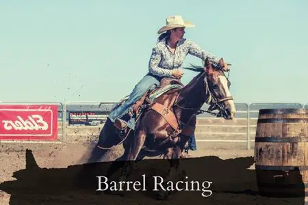Can Thoroughbreds Compete in Barrel Racing?