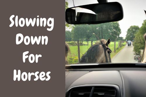 Is It The Law To Slow Down For Horses